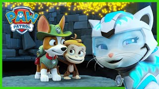 Cat Pack and Tracker save a Monkey in the Jungle  PAW Patrol  Cartoons for Kids Compilation [upl. by Ackerman]