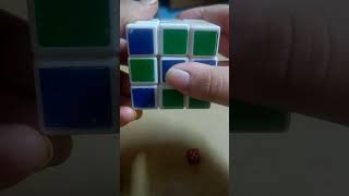 Checkerboard Pattern on 3x3 Rubix Cube With 5 Dice rubiks 3x3 pattern rubikscube [upl. by Alano226]