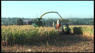 LENSILAGE DE MAÏS ENSILEUSE JOHN DEERE [upl. by Seyer]