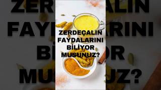 Zerdeçalın Faydalarını Biliyor Musunuz sağlıklıyaşam [upl. by Suoicul172]