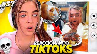 TikToks que me recomendó mi chef  Reacción a TikToks 37 [upl. by Einned]