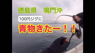 徳島県 鳴門沖で五目釣り！アタリ連発！【後編】 [upl. by Biegel604]