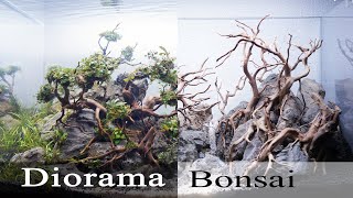 Tutorial Aquascape Bonsai Diorama [upl. by Jaylene]