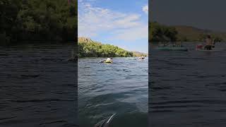 Salt River Tubing amp Paddle boarding arizona [upl. by Chui466]