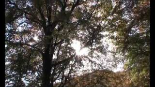 autunno in valle vigezzo test video [upl. by Trovillion719]