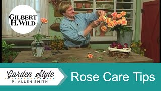 How to Grow and Care for Tea Roses  Garden Style 403 [upl. by Yc]