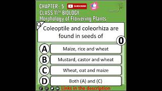 morphology of flowering plant mcq neet class 12 ncert [upl. by Eirrod]