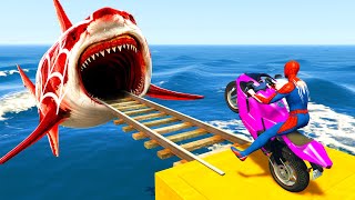 GTA 5 Crazy Ragdolls  Spiderman by Motorcycle Cars On Rainbow Spiders Bridge Spider Shark Jumps [upl. by Abrahams368]