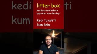 Litterbox Nedir [upl. by Ecnerol887]