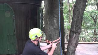 TreePro Bottom Rescue Anchor System [upl. by Kluge]