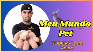 PODCAST COM ANDRÉ FRANÇA [upl. by Idnor]