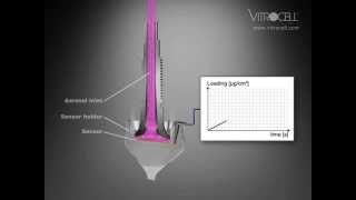 VITROCELL® Quartz Crystal Microbalance QCM [upl. by Kcirredal197]