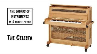 The Celesta The Sounds of Instruments in 1 min pieces [upl. by Ydnarb]