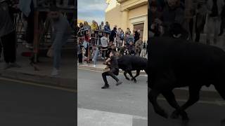 Bandido manade Martini à Aigues Vives [upl. by Golding855]