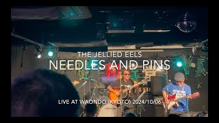 Needles And Pinsquot The Searchers cover by The Jellied Eels [upl. by Roice]