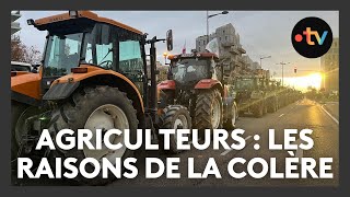 Agriculteurs  les raisons de la colère [upl. by Edgardo]