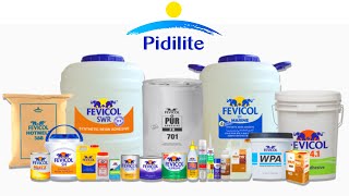 Products of Pidilite  Brands of Pidilite  Pidilite Products List  Pidilite Business Empire [upl. by Dugald]