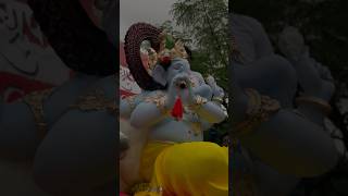 SAKAD GHALITO GABHARYAT MAZYA  GAJAR TUJHA MORYA  GANPTI BAPPA MORYA ytshorts shorts [upl. by Bevis]