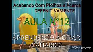 APRENDENDO A CRIAR CANÁRIOS Como Acabar Com Piolhos e Ácaros AULA N°12 [upl. by Ethban]