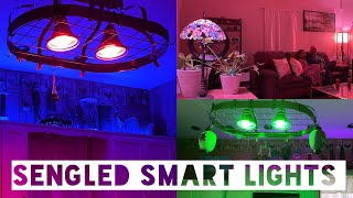 Sengled SMART LIGHTBULB Setup  ALEXA Auto Pairing smarthome [upl. by Ycniuqed806]