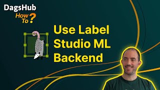 Automate the labeling process with Label Studio and DagsHub [upl. by Obadias]