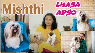 Lhasa Apso Female dog  Mishti  Pet Parent  Priya Malhotra [upl. by Kaila]