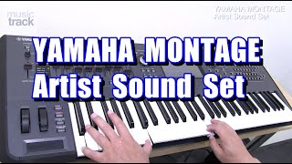 MONTAGE Artist Sound Set Demo amp Review [upl. by Ylreveb]