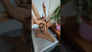 Driftwood Art Sculpture by Manda [upl. by Ettennaej]