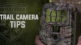 Trail Camera Tips [upl. by Alguire701]