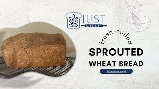 Sprouted whole grain bread [upl. by Zeba621]