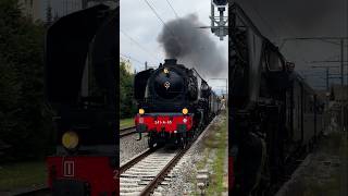 🚂 Europas grösste handbefeuerte Dampflok die 241A65 bei der Einfahrt in Bad Zurzach 🌍 [upl. by Lew]