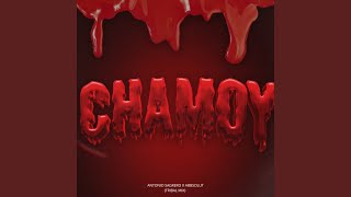 Chamoy Tribal Mix [upl. by Nnyltak660]