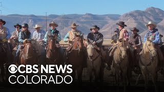 Sterling Ranch uses cattle to protect homes as working cattle ranch [upl. by Ede]