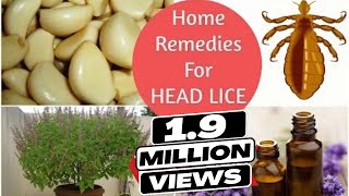 Top 5 Home Remedies To Get Rid Of Head LICE amp Nits  Sushmitas Diaries [upl. by Ailec]