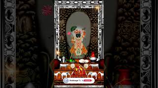 Aaj Ka Darshan Ashwin Shukla Amavasya 02 October 2024 Shrinathji ke Darshan [upl. by Maida]