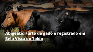 Abigeato Furto de gado é registrado em Bela Vista do Toldo [upl. by Valera]