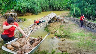 Heavy Floods Destroy Farm And The Newly Built Bridge  Villagers Came To Help Restore The Farm [upl. by Sofie]