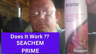 Seachem PRIME Does It Really Work [upl. by Steel]