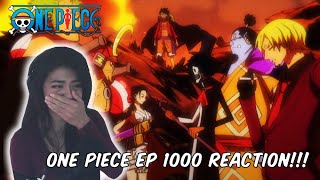 WE HAVE COME A LONG WAY One Piece ep 1000 Reaction [upl. by Anirtal119]