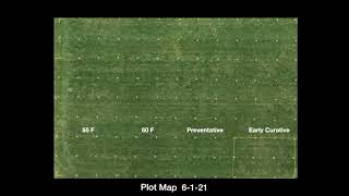 What Can Early Fungicide Apps Do for You Brown Patch on Tall Fescue Control at Various App Timings [upl. by Lamberto365]