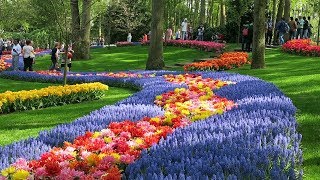 Keukenhof 2019 [upl. by Cumings]