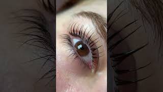 Best Lash Lift amp Tint in Los Angeles  Beverly Hills  Santa Monica  Westwood [upl. by Einalam]