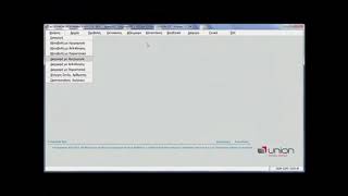 UNION ERP Έσοδαέξοδα tutorial βήμα βήμα για γίνεις expert [upl. by Alessig959]