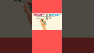 Learn English Kurdish Shorts 3 [upl. by Novonod]