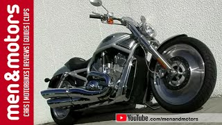 What Do HarleyDavidson Riders Think Of The Fatboy amp VRod [upl. by Coffee541]