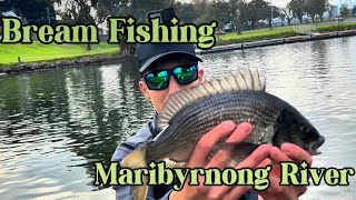 Catching Bream in the Maribyrnong River [upl. by Aicinod986]