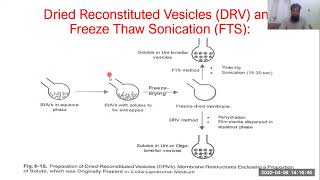 Processing methods and Solvent Dispersion Liposomes [upl. by Aneloaup]