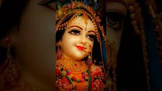 Radha Rani meri hai meri hai mero hai barsanaviralvideo jai jai shree radhe ranishamshorts [upl. by Knarf]