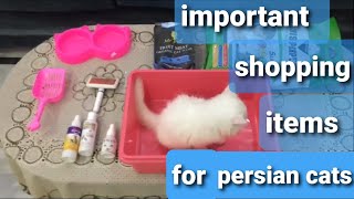 Shopping before buying persian cat or kitten  Important persian cats accessories  Urdu  Hindi [upl. by Yrannav]