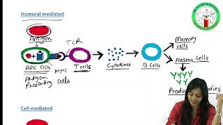 Antigen PART I  Types of Antigens  Immunogenicity  Antigenicity  Complete amp Incomplete Antigens [upl. by Darlleen]